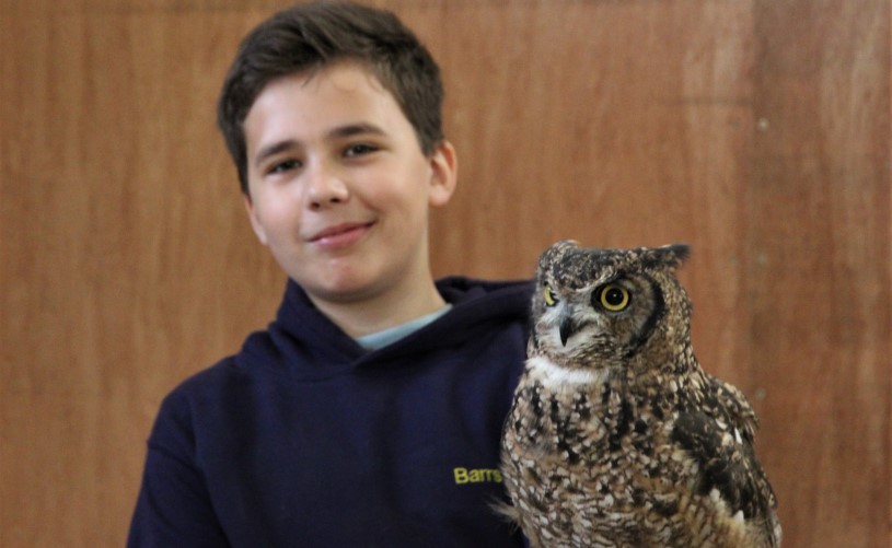 boy with owl